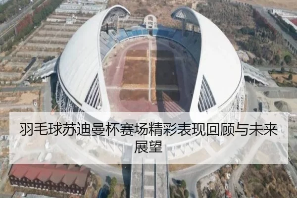 羽毛球苏迪曼杯赛场精彩表现回顾与未来展望